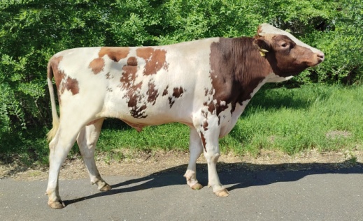 ХИЛЬБЕРТ 2869 ET